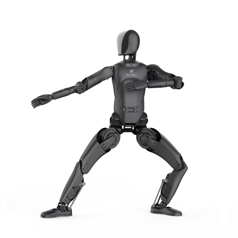 AgiBot A2 Lite Gray - Full Size, Cost-effective humanoid robot