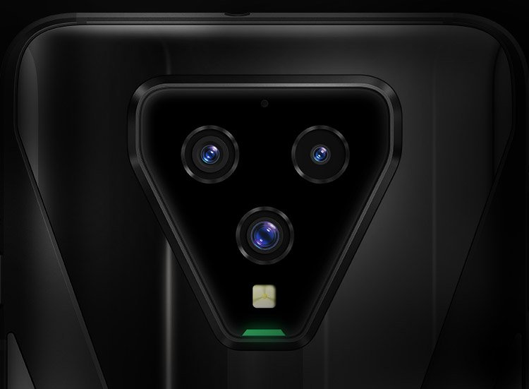 shark 3