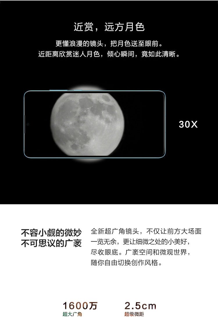 p30 pro
