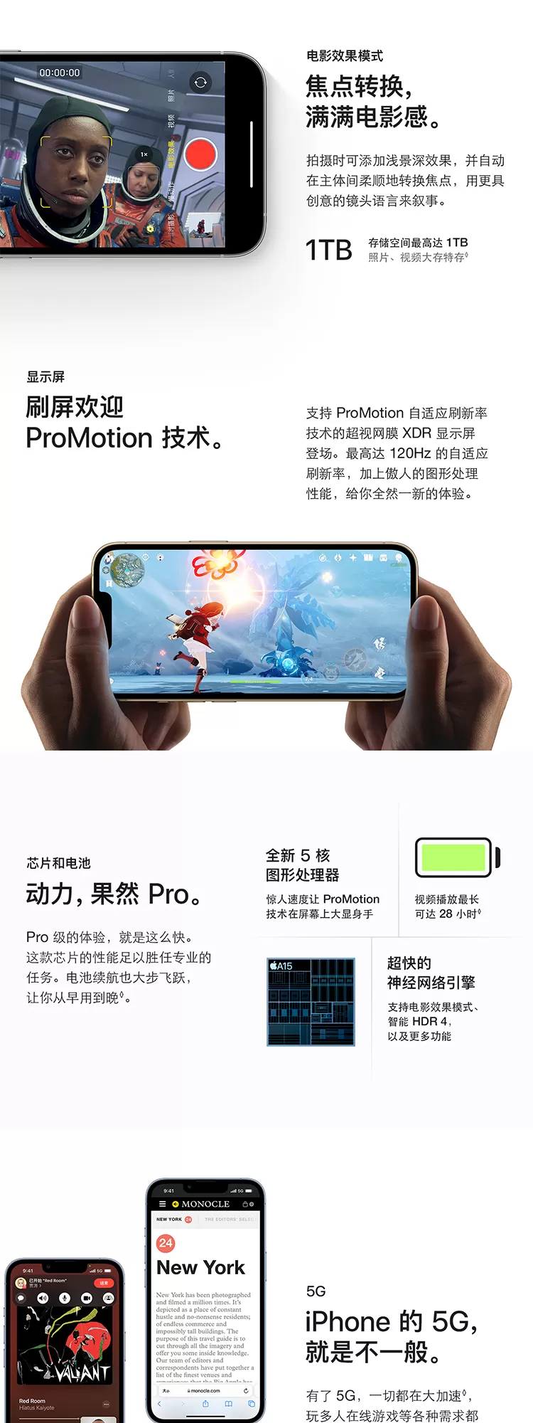 13 pro