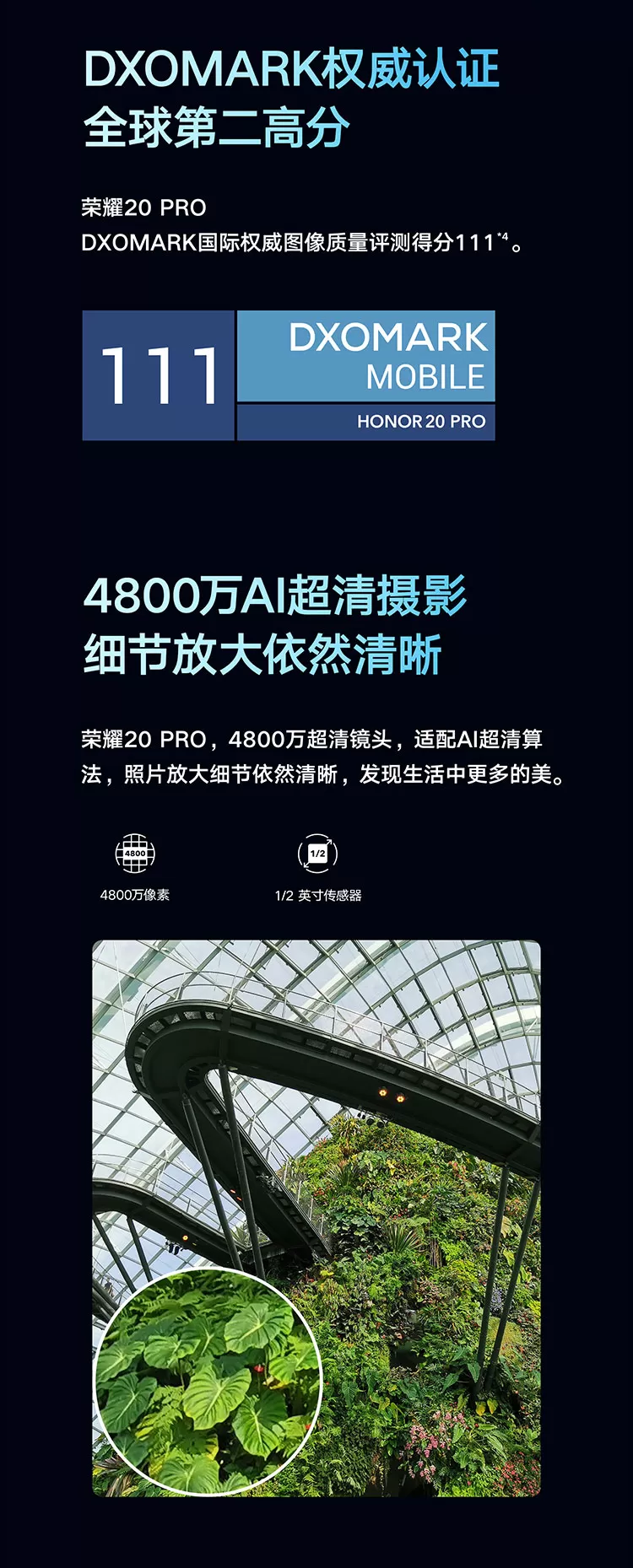 honor 20