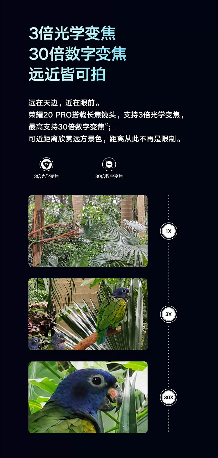 honor 20