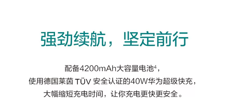 mate 20 x 5g