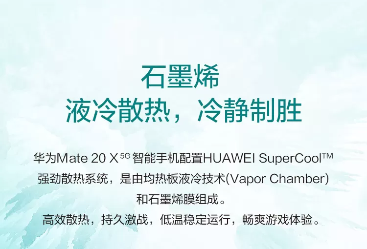 mate 20 x 5g