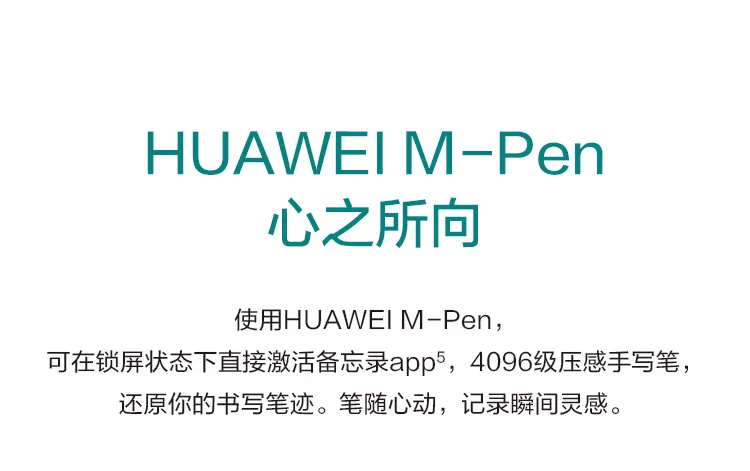 mate 20 x 5g