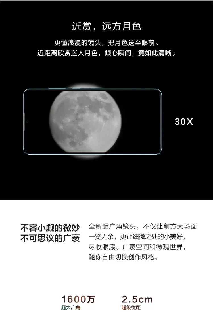 p30 pro