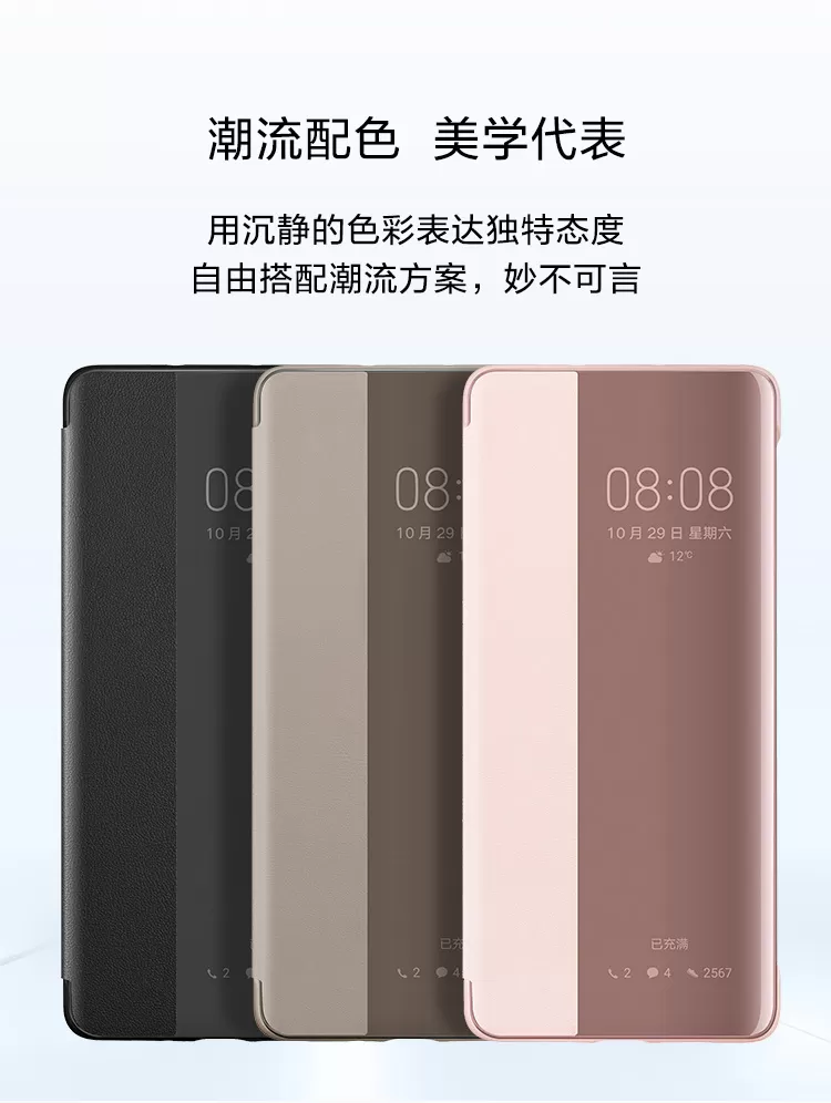 p30 case