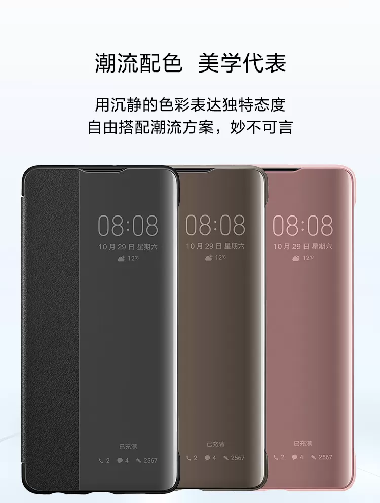 p30 case