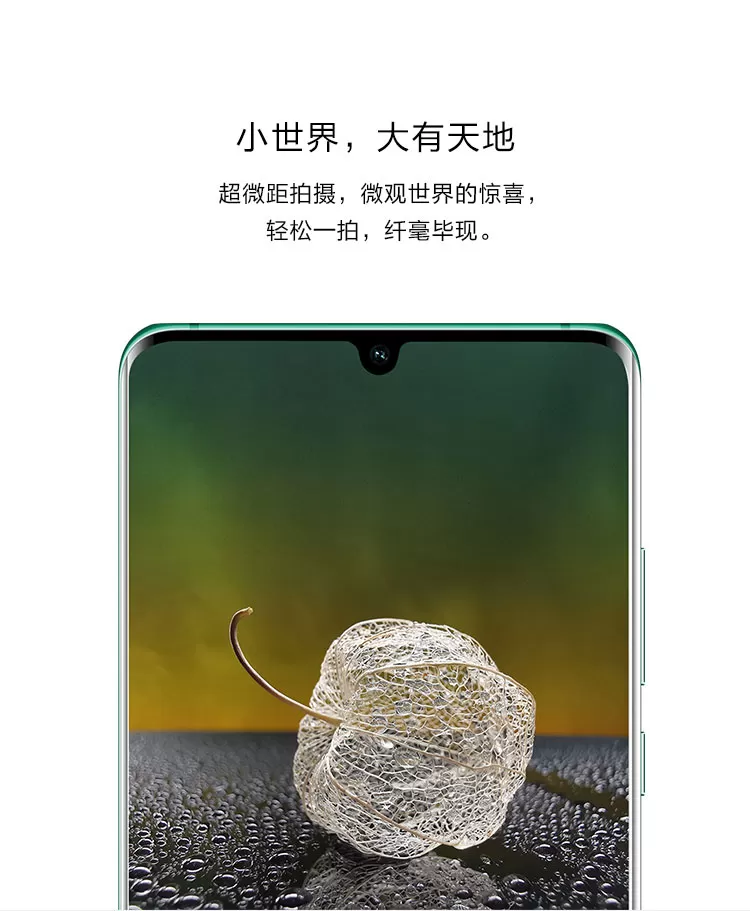 p30 pro