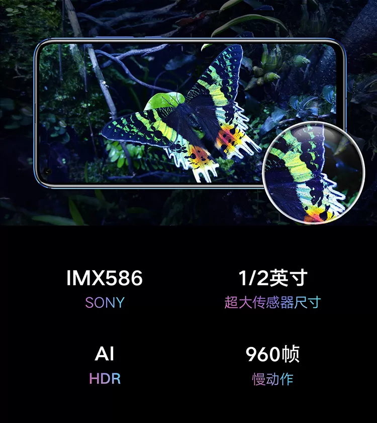 v20