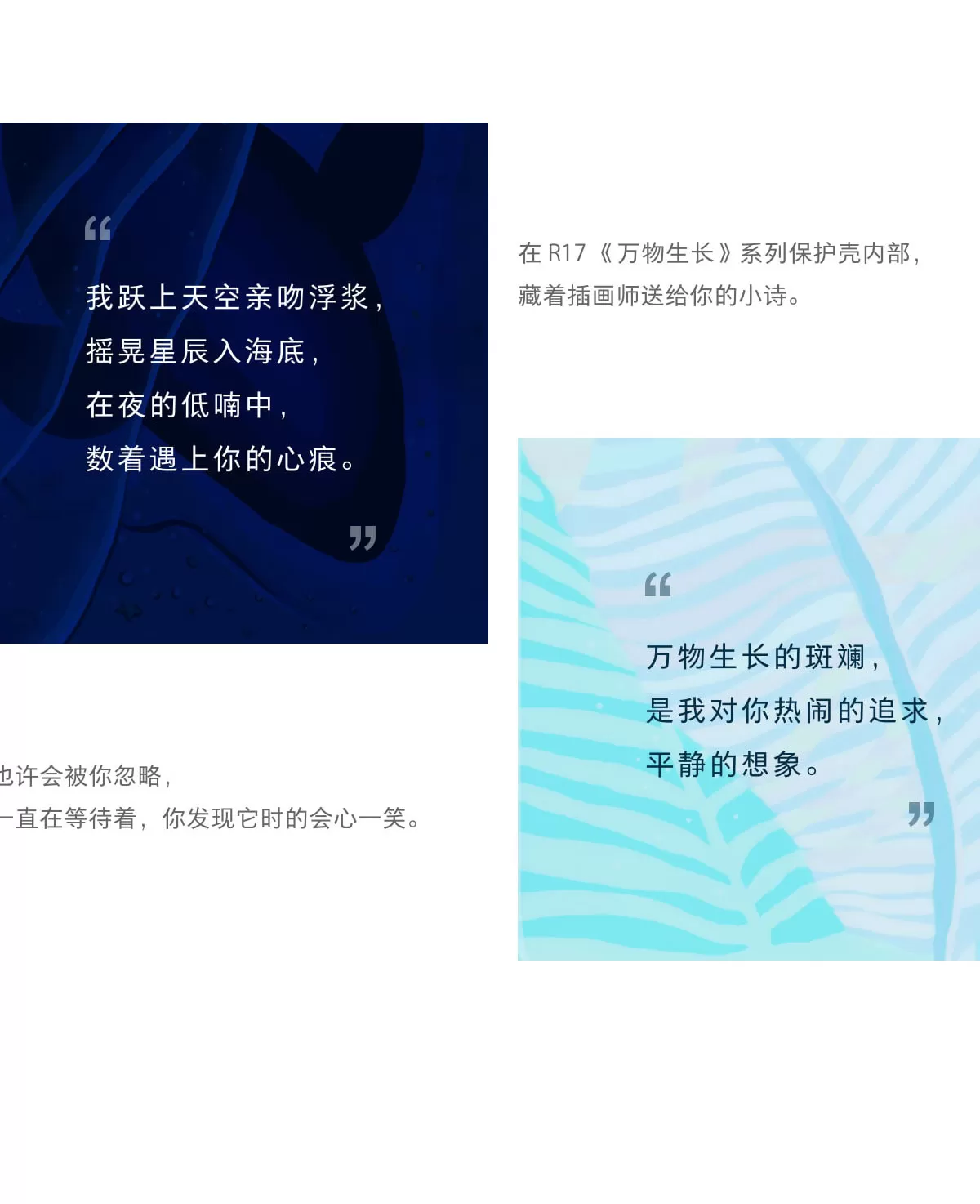 r17 case