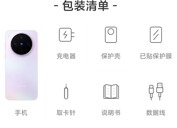 vivo x300s