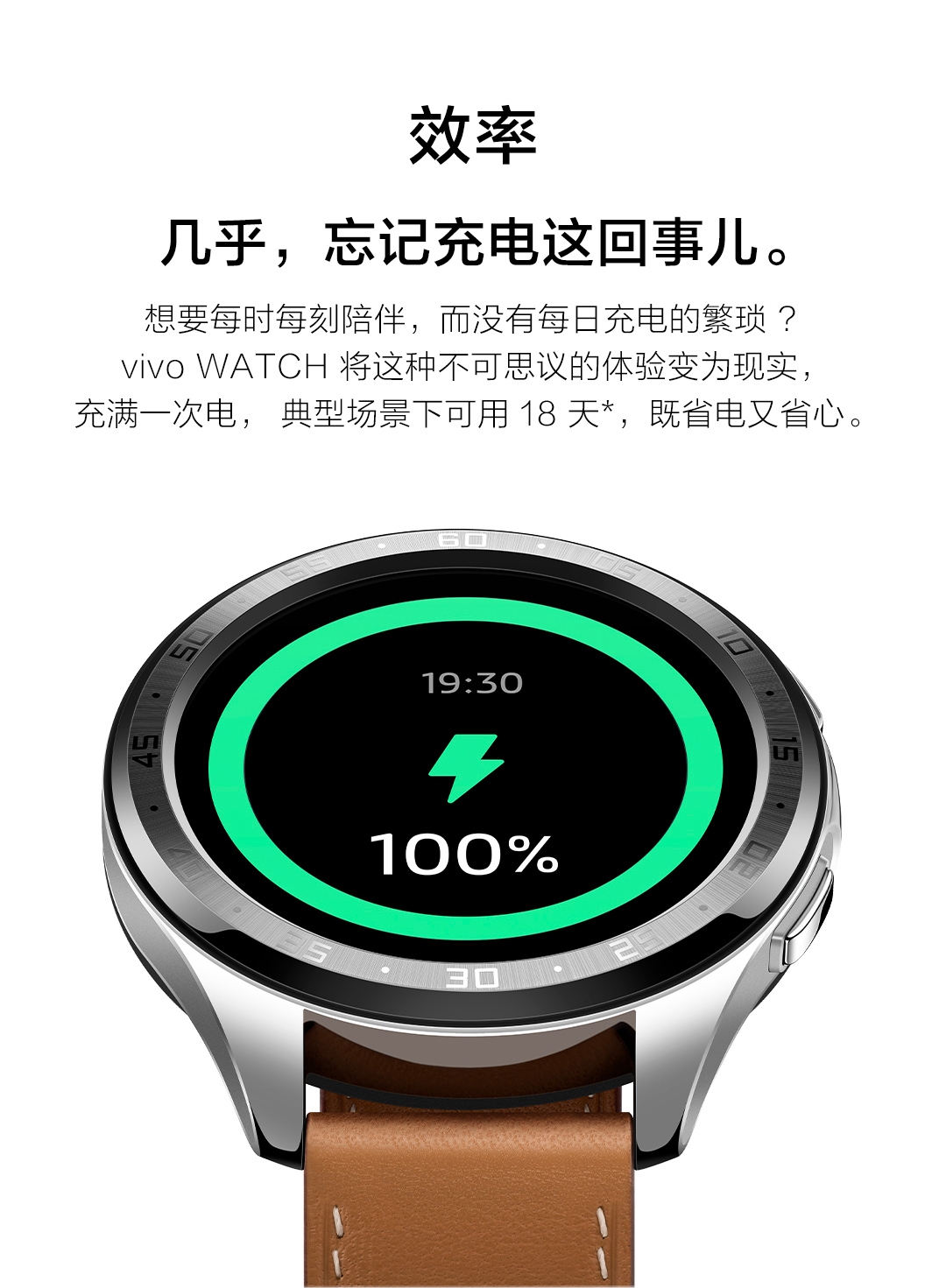 vivo watch